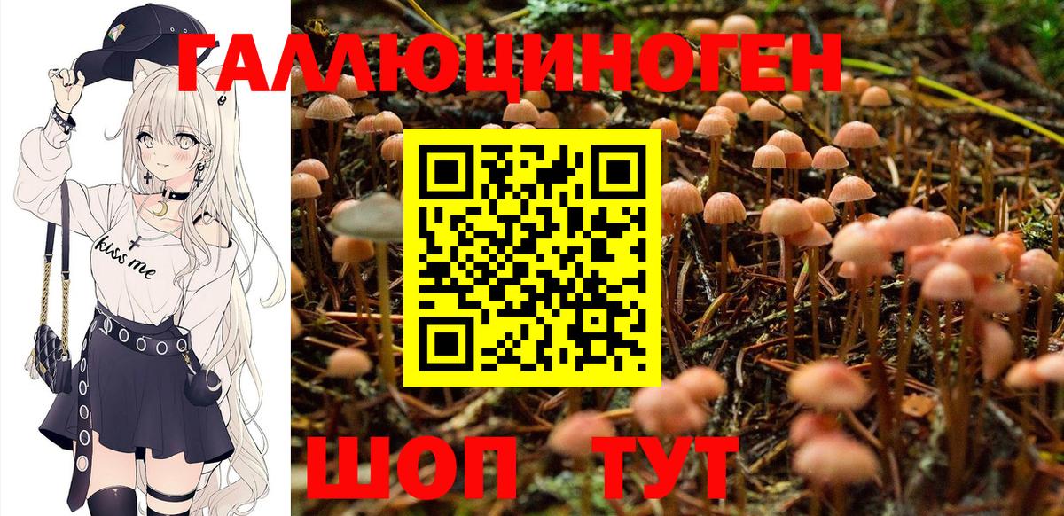 Псилоцибиновые грибы MAGIC MUSHROOMS  Вход с VPN  Галлюциногенные грибы прущие грибы  Сургут 
