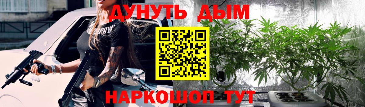 Марихуана конопля Сургут